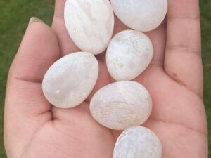 magickal pearl, positive vibe, improves personal growth, cleanse the aura