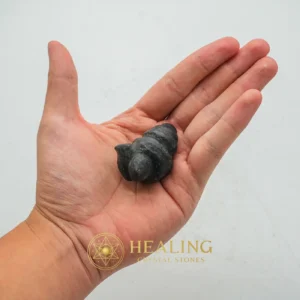 Black Cobra Pearl - Type H1 - Aura, Aura Crystal, Aura Cleansing Stone, Chakra, Meditation, Inner Wisdom, Emotional Healing, Spiritual Healing, Awakened, Positive Energy
