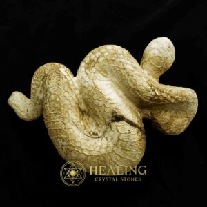 Amphibian/Reptile Pearls