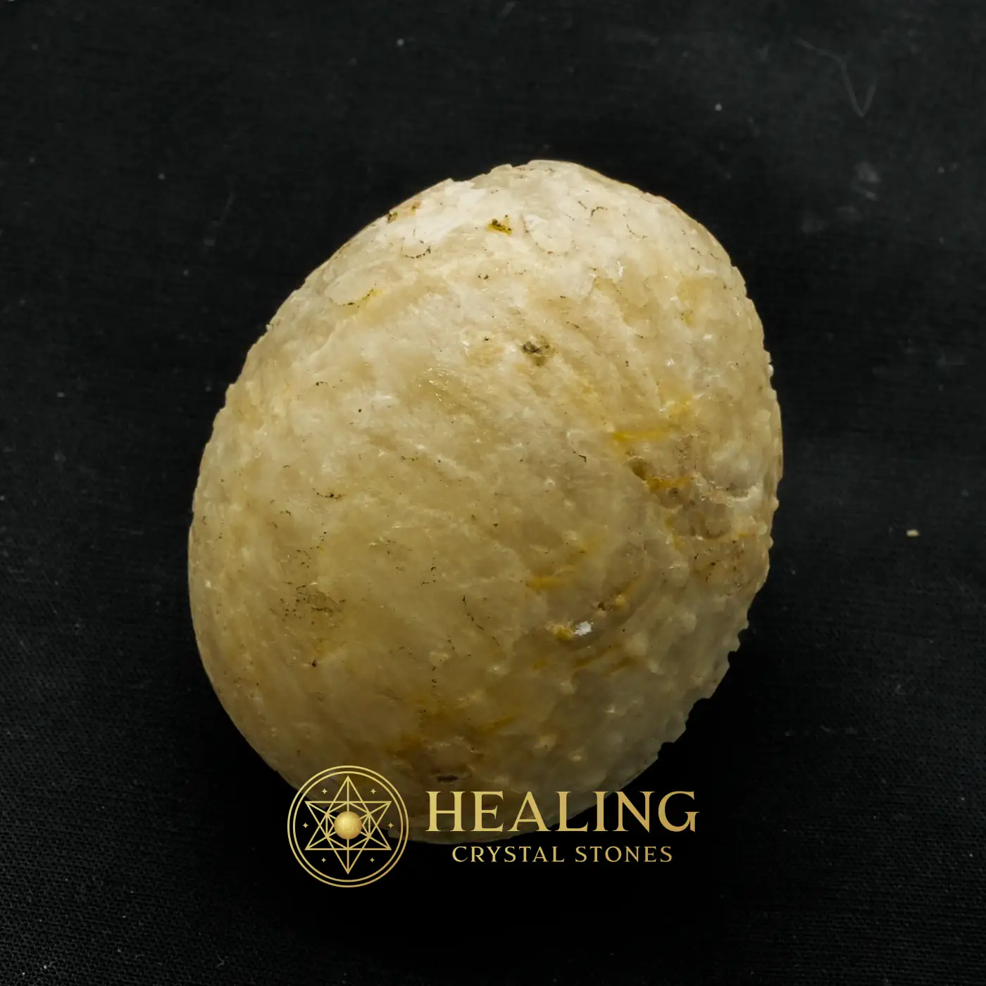 Crocodile Pearl - Type W2 (Female) - Cleansing, Purification, Protection, Negative Energy Protection, Energy Shield Crystal, Aura Cleansing Stone, Warding Stone, Protective Stone, Guardian Talisman, Guardian Amulet