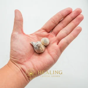 Crocodile Pearls - Type A3 - Energy Stones, Energy Balance Stone, Energy Alignment Crystal, Life Force Stone, Life Energy Crystal, Solar Crystal, Universal Energy, Positive Energy, Harmony, Balance