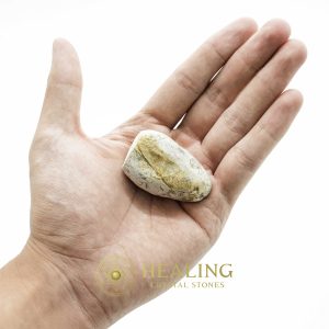 Crocodile Pearl - Type T2 Bezoar Stones Bezoar Crystals Healing Bezoar Stones Animal Totem Stones, Power Animal Stones Ritual Power Stones Ritual Crystals Crystals Talismans Stones Talisman Crystals Amulet stones mystical shaman shamanic spiritual spiritualism metaphysics occult