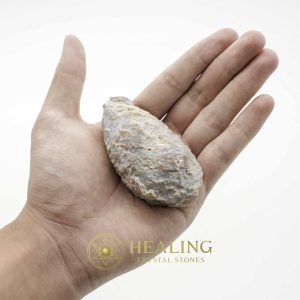 Crocodile Pearl - Type O (White Crocodile) Bezoar Stones Bezoar Crystals Healing Bezoar Stones Animal Totem Stones, Power Animal Stones Ritual Power Stones Ritual Crystals Crystals Talismans Stones Talisman Crystals Amulet stones mystical shaman shamanic spiritual spiritualism metaphysics occult