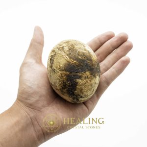 Crocodile Pearl - Type N Bezoar Stones Bezoar Crystals Healing Bezoar Stones Animal Totem Stones, Power Animal Stones Ritual Power Stones Ritual Crystals Crystals Talismans Stones Talisman Crystals Amulet stones mystical shaman shamanic spiritual spiritualism metaphysics occult