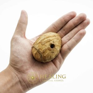 Crocodile Pearl - Type M Bezoar Stones Bezoar Crystals Healing Bezoar Stones Animal Totem Stones, Power Animal Stones Ritual Power Stones Ritual Crystals Crystals Talismans Stones Talisman Crystals Amulet stones mystical shaman shamanic spiritual spiritualism metaphysics occult