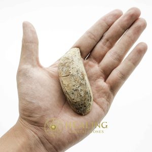 Crocodile Pearl - Type I (Ground Crocodile) Bezoar Stones Bezoar Crystals Healing Bezoar Stones Animal Totem Stones, Power Animal Stones Ritual Power Stones Ritual Crystals Crystals Talismans Stones Talisman Crystals Amulet stones mystical shaman shamanic spiritual spiritualism metaphysics occult