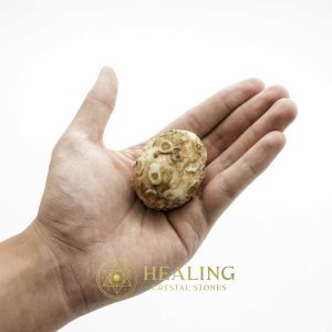 Crocodile Pearl - Type F1 (White Crocodile) Bezoar Stones Bezoar Crystals Healing Bezoar Stones Animal Totem Stones, Power Animal Stones Ritual Power Stones Ritual Crystals Crystals Talismans Stones Talisman Crystals Amulet stones mystical shaman shamanic spiritual spiritualism metaphysics occult