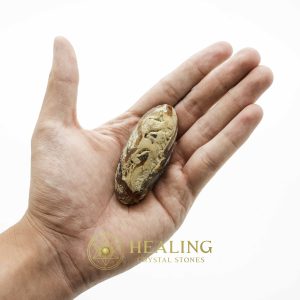 Crocodile Pearl - Type H Crystals Healing Bezoar Stones Animal Totem Stones, Power Animal Stones Ritual Power Stones Ritual Crystals Crystals Talismans Stones Talisman Crystals Amulet stones mystical shaman shamanic spiritual spiritualism metaphysics occult