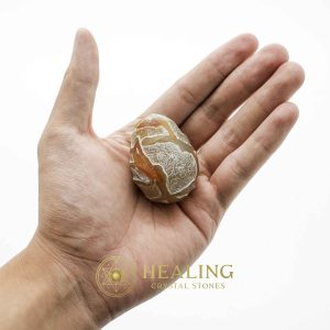 Crocodile Pearl - Type G Crystals Healing Bezoar Stones Animal Totem Stones, Power Animal Stones Ritual Power Stones Ritual Crystals Crystals Talismans Stones Talisman Crystals Amulet stones mystical shaman shamanic spiritual spiritualism metaphysics occult