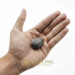 Crocodile Pearl - Type A2 (Black Crocodile) Crystals Healing Bezoar Stones Animal Totem Stones, Power Animal Stones Ritual Power Stones Ritual Crystals Crystals Talismans Stones Talisman Crystals Amulet stones mystical shaman shamanic spiritual spiritualism metaphysics occult