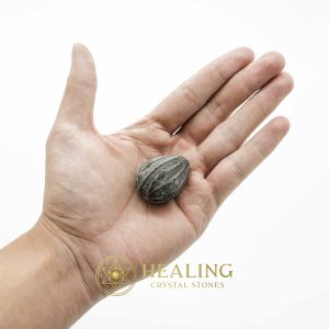 Crocodile Pearl - Type A1 (Black Crocodile) Crystals Healing Bezoar Stones Animal Totem Stones, Power Animal Stones Ritual Power Stones Ritual Crystals Crystals Talismans Stones Talisman Crystals Amulet stones mystical shaman shamanic spiritual spiritualism metaphysics occult