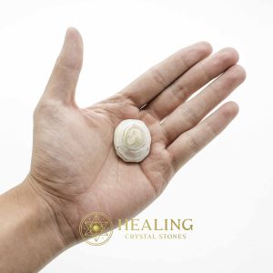 Crocodile Crown Pearl - Type D2 (Male) Crystals Healing Bezoar Stones Animal Totem Stones, Power Animal Stones Ritual Power Stones Ritual Crystals Crystals Talismans Stones Talisman Crystals Amulet stones mystical shaman shamanic spiritual spiritualism metaphysics occult