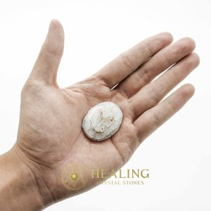 Crocodile Crown Pearl - Type C1 (Female) Crystals Healing Bezoar Stones Animal Totem Stones, Power Animal Stones Ritual Power Stones Ritual Crystals Crystals Talismans Stones Talisman Crystals Amulet stones mystical shaman shamanic spiritual spiritualism metaphysics occult