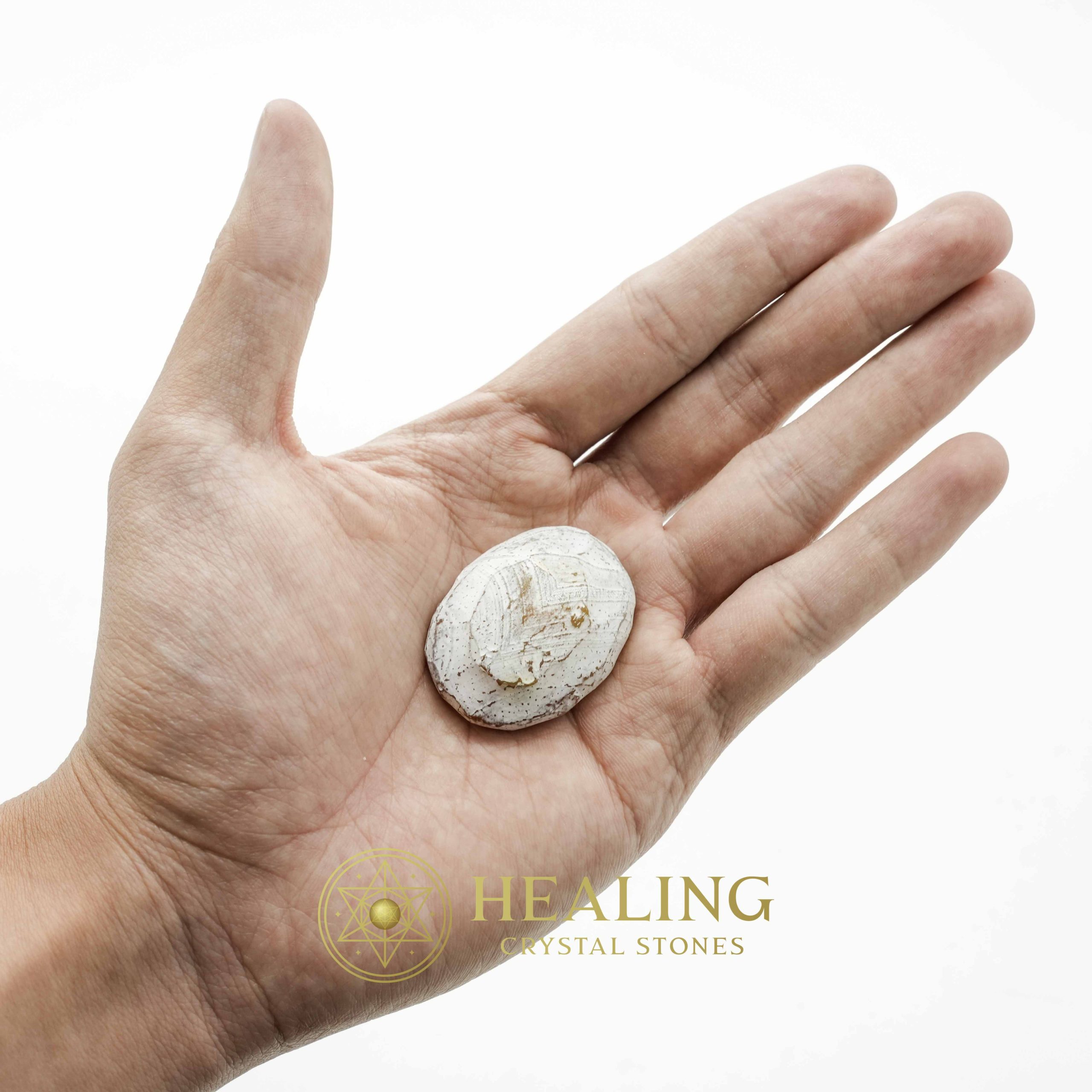 Crocodile Crown Pearl - Type C1 (Female) Crystals Healing Bezoar Stones Animal Totem Stones, Power Animal Stones Ritual Power Stones Ritual Crystals Crystals Talismans Stones Talisman Crystals Amulet stones mystical shaman shamanic spiritual spiritualism metaphysics occult