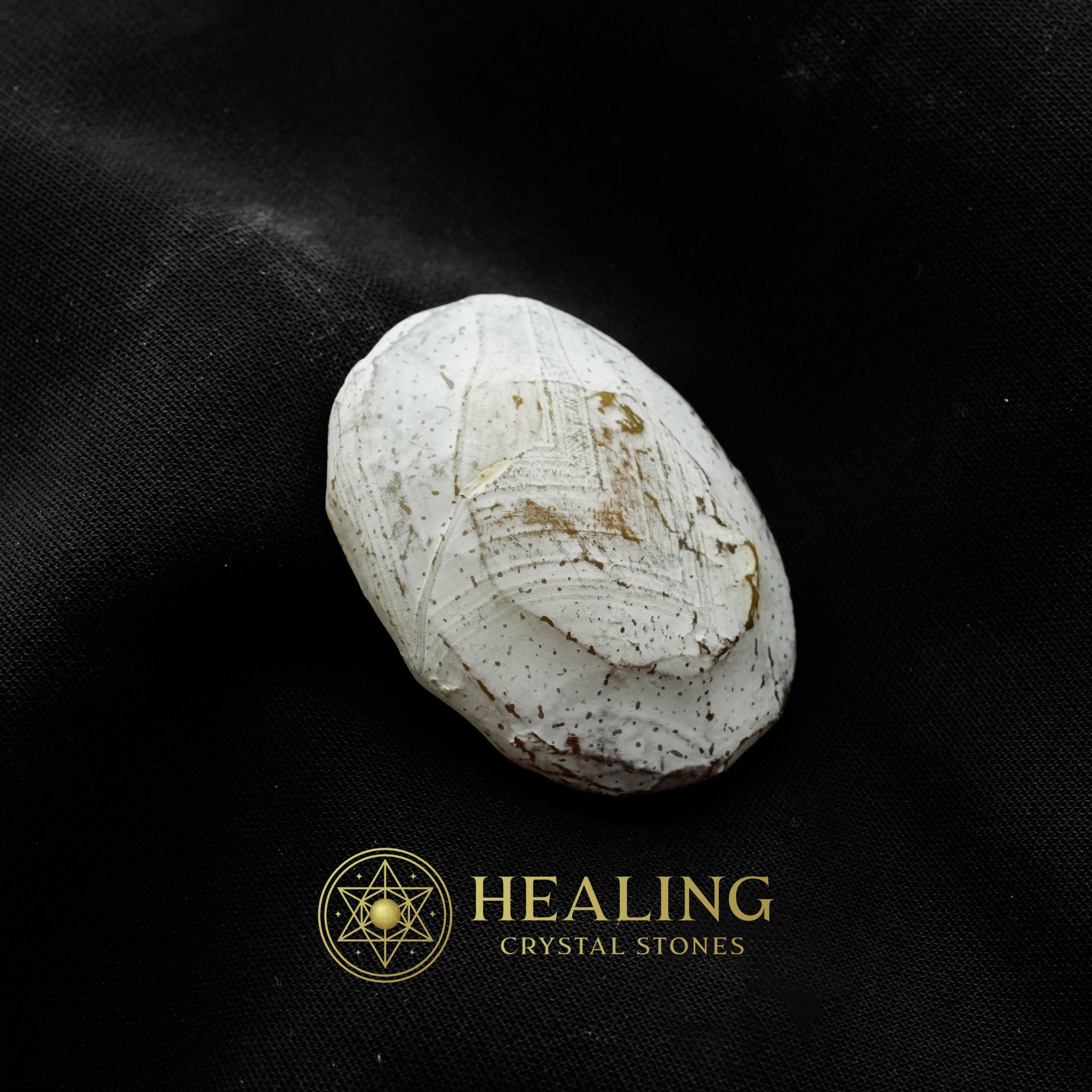 Crocodile Crown Pearl - Type C1 (Female) Crystals Healing Bezoar Stones Animal Totem Stones, Power Animal Stones Ritual Power Stones Ritual Crystals Crystals Talismans Stones Talisman Crystals Amulet stones mystical shaman shamanic spiritual spiritualism metaphysics occult