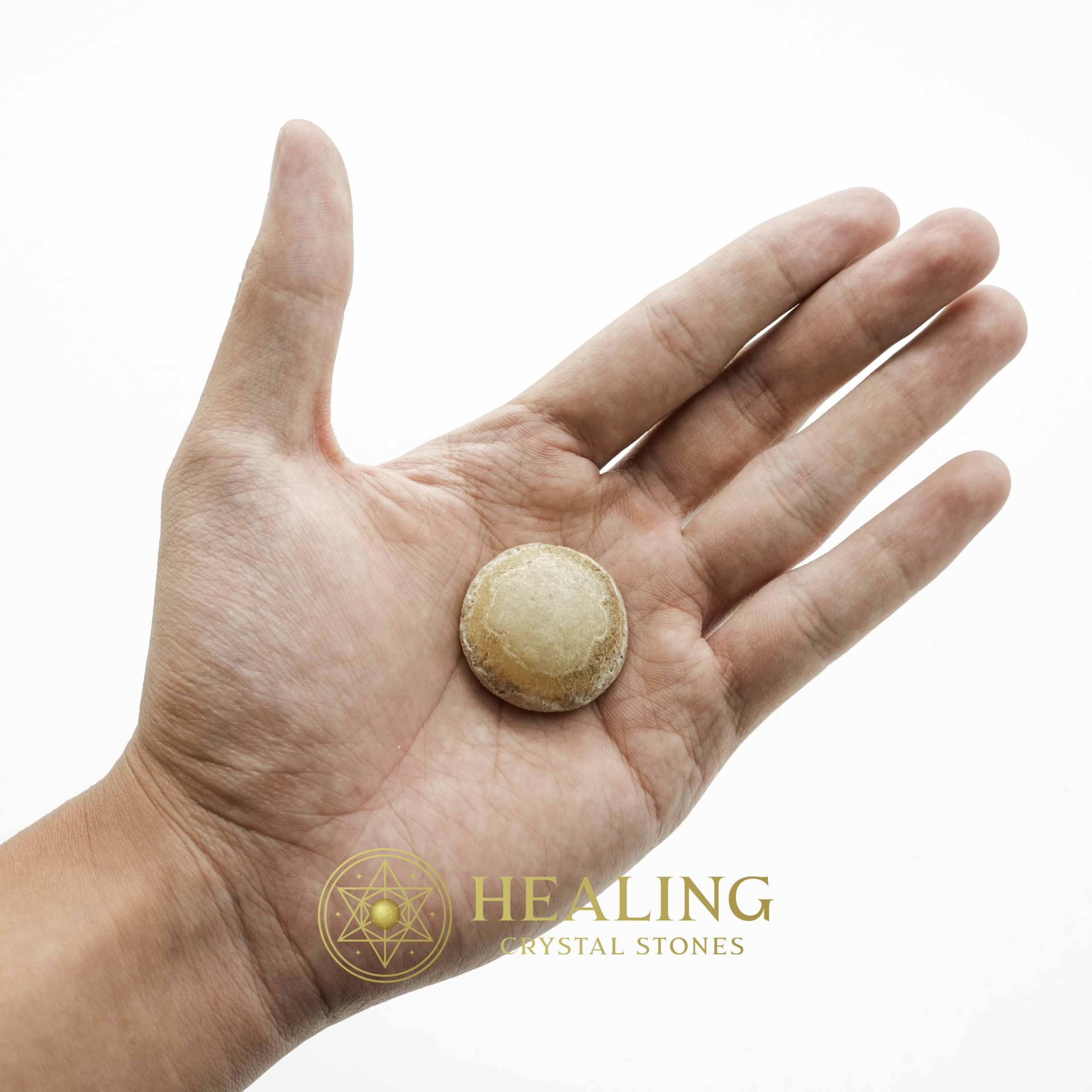 Crocodile Crown Pearl - Type B Crystals Healing Bezoar Stones Animal Totem Stones, Power Animal Stones Ritual Power Stones Ritual Crystals Crystals Talismans Stones Talisman Crystals Amulet stones mystical shaman shamanic spiritual spiritualism metaphysics occult