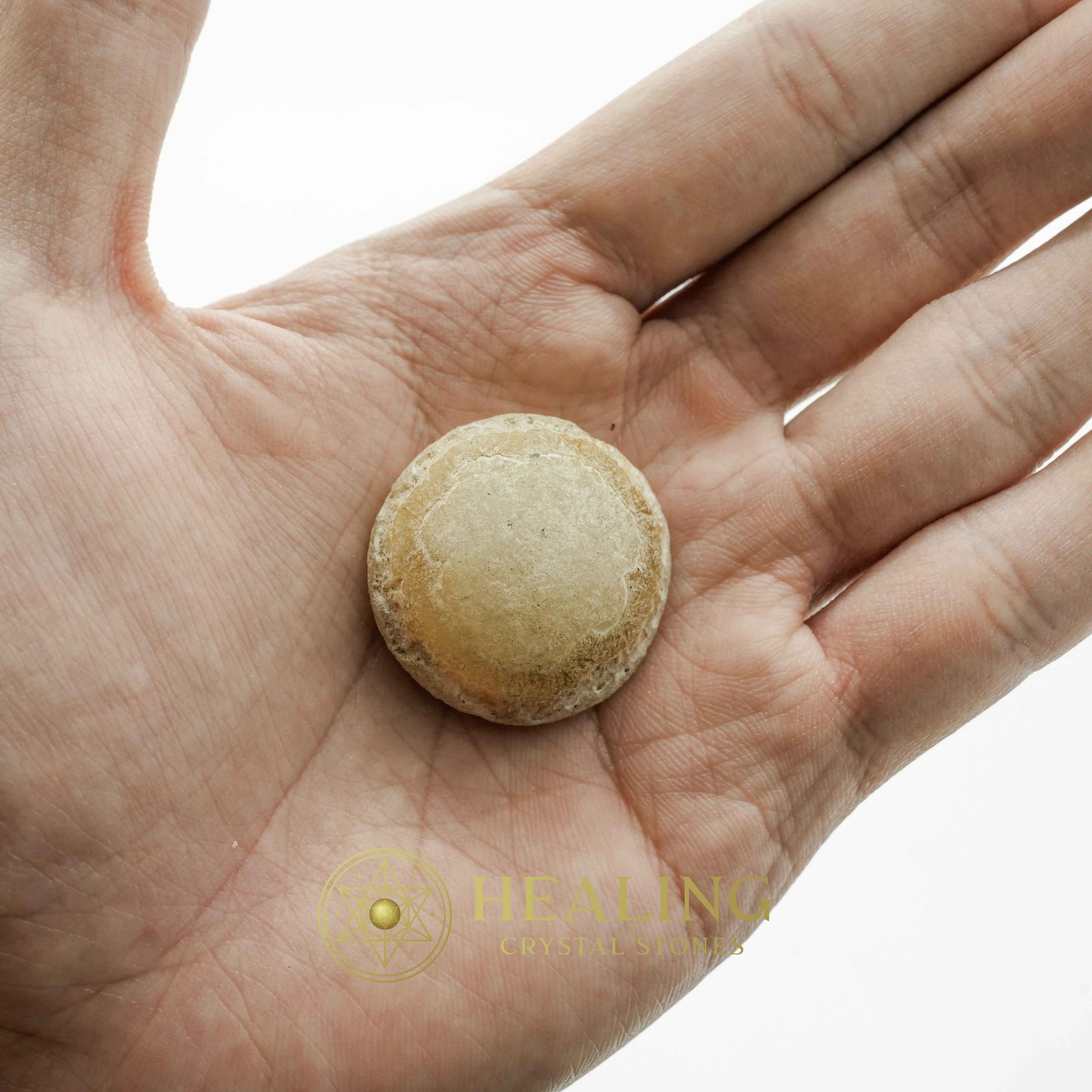 Crocodile Crown Pearl - Type B Crystals Healing Bezoar Stones Animal Totem Stones, Power Animal Stones Ritual Power Stones Ritual Crystals Crystals Talismans Stones Talisman Crystals Amulet stones mystical shaman shamanic spiritual spiritualism metaphysics occult