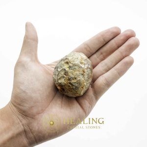 Crocodile Pearl - Type S Crystals Healing Bezoar Stones Animal Totem Stones, Power Animal Stones Ritual Power Stones Ritual Crystals Crystals Talismans Stones Talisman Crystals Amulet stones mystical shaman shamanic spiritual spiritualism metaphysics occult