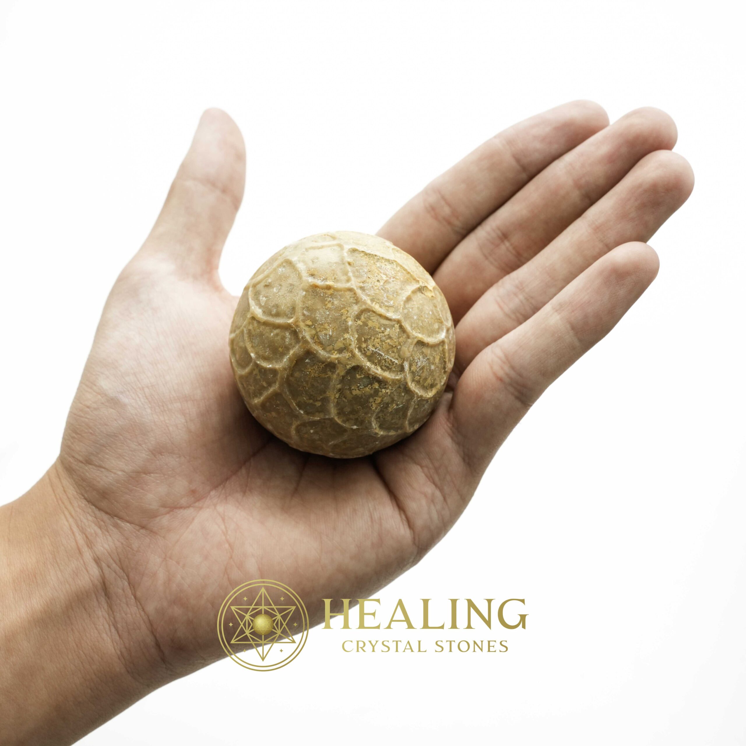 Kendang Snake Pearl - Type A - Magical Stones Magickal Stones Magickal Crystals Ritual Power Stones Ritual Crystals Crystals Talismans Stones Talisman Crystals Amulet stones mystical shaman shamanic spiritual spiritualism metaphysics occult psychic