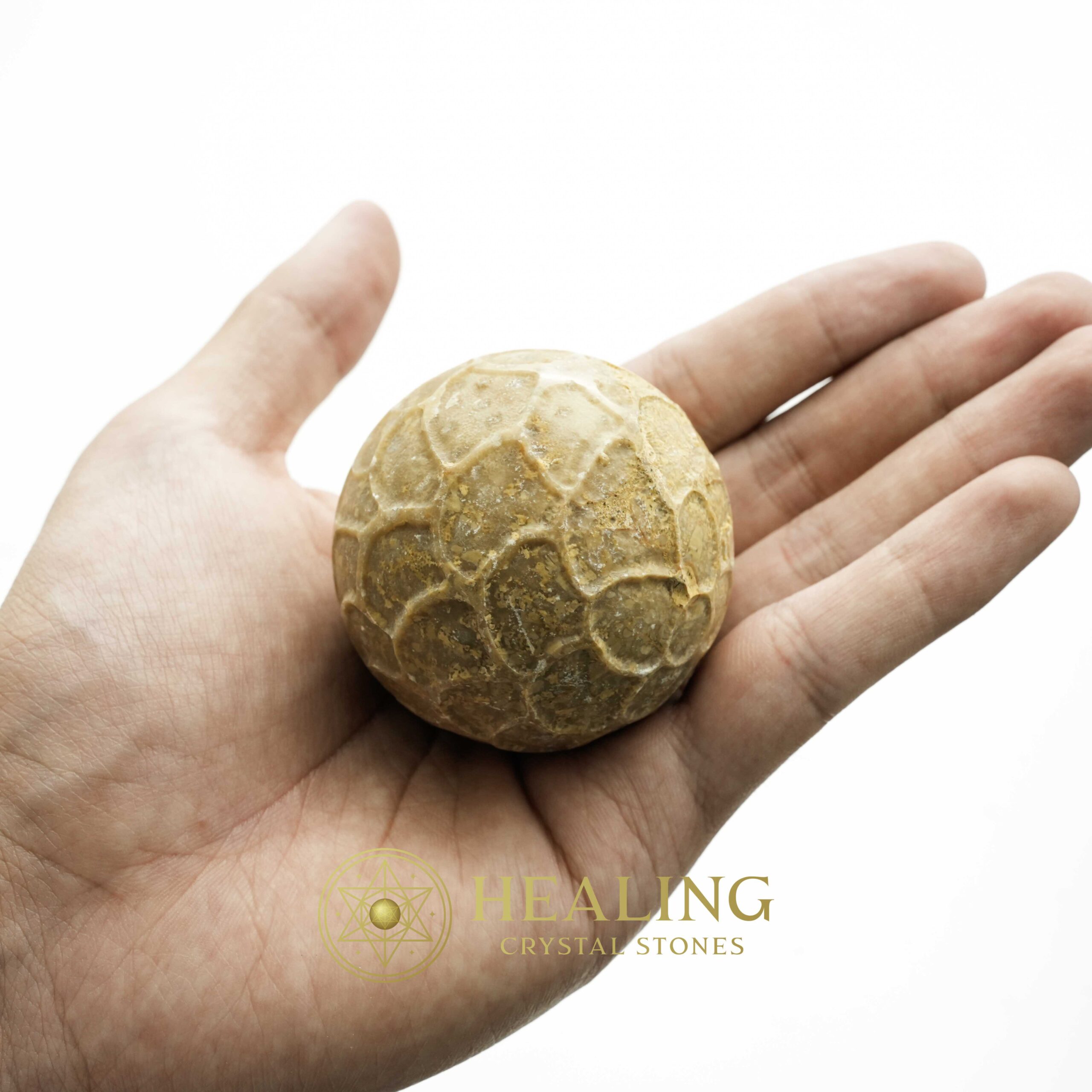 Kendang Snake Pearl - Type A - Magical Stones Magickal Stones Magickal Crystals Ritual Power Stones Ritual Crystals Crystals Talismans Stones Talisman Crystals Amulet stones mystical shaman shamanic spiritual spiritualism metaphysics occult psychic