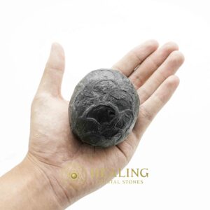 Sawo Keleng Snake Pearls - Type A2(Large)- Magical Stones Magickal Stones Magickal Crystals Ritual Power Stones Ritual Crystals Crystals Talismans Stones Talisman Crystals Amulet stones mystical shaman shamanic spiritual spiritualism metaphysics occult psychic