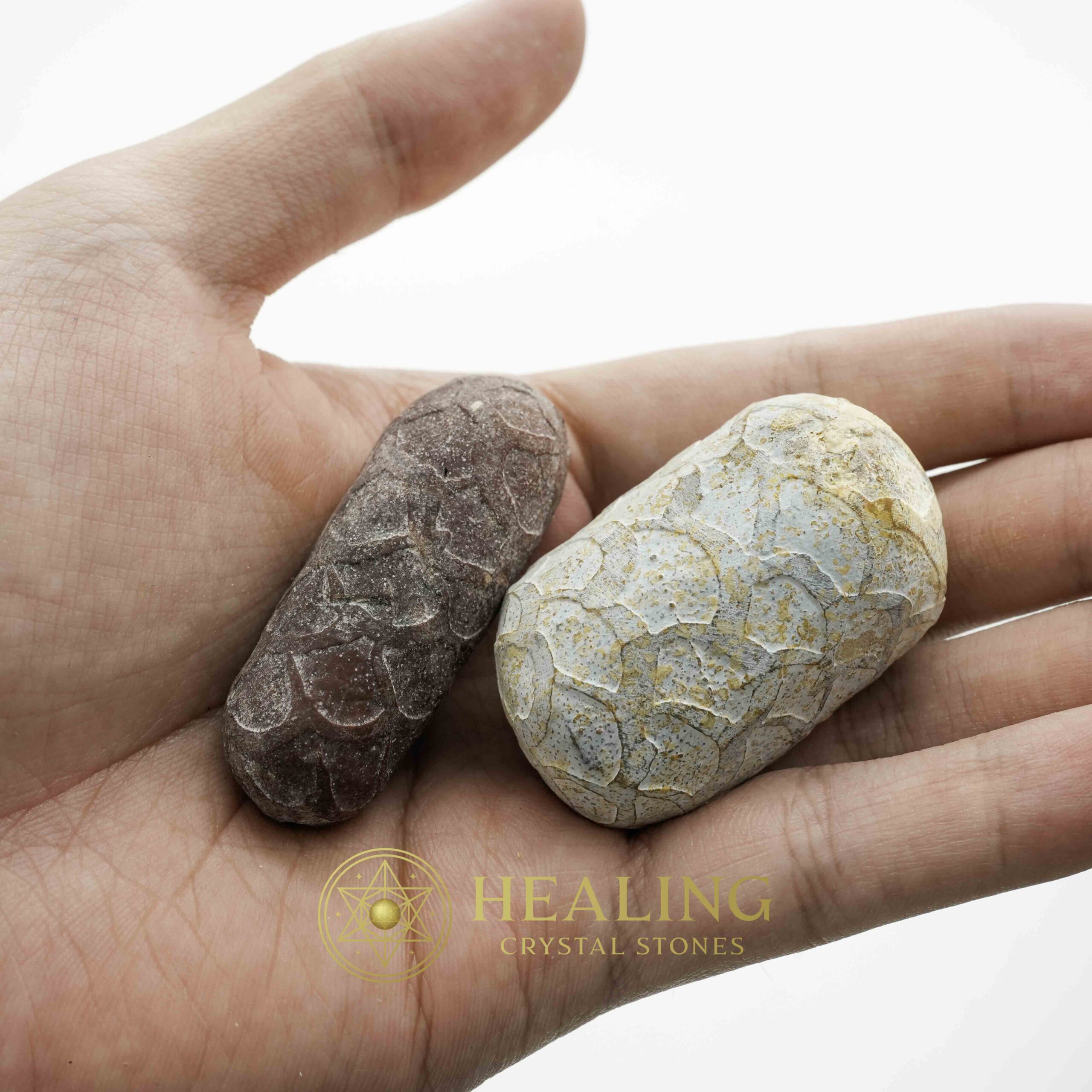 Kendang Snake Pearl - Type C1 - Magical Stones Magickal Stones Magickal Crystals Ritual Power Stones Ritual Crystals Crystals Talismans Stones Talisman Crystals Amulet stones mystical shaman shamanic spiritual spiritualism metaphysics occult psychic