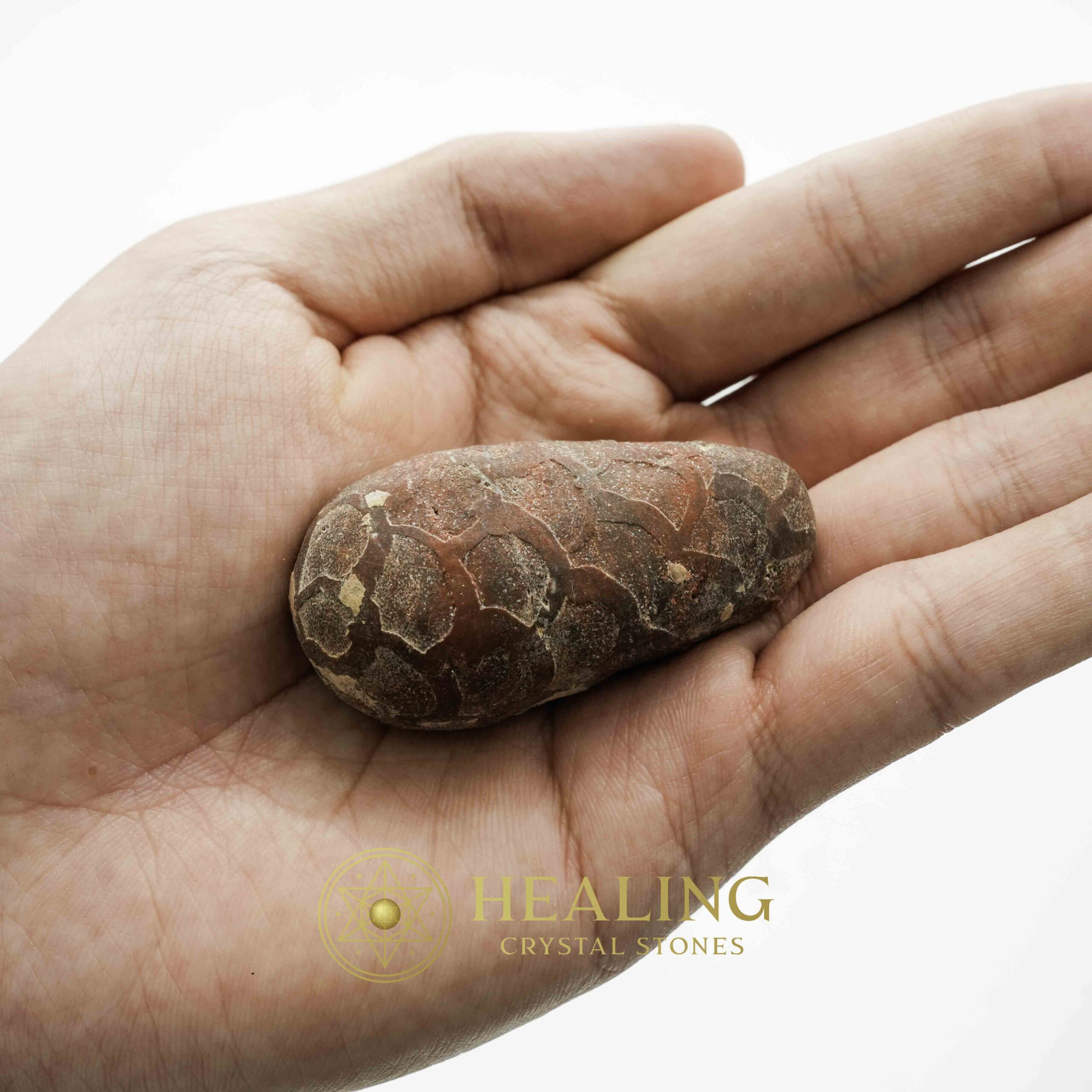 Kendang Snake Pearl - Type C3 - Magical Stones Magickal Stones Magickal Crystals Ritual Power Stones Ritual Crystals Crystals Talismans Stones Talisman Crystals Amulet stones mystical shaman shamanic spiritual spiritualism metaphysics occult psychic