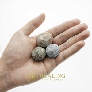 Red Jalak Snake Pearls - Type B1 (Female) - Magical Stones Magickal Stones Magickal Crystals Ritual Power Stones Ritual Crystals Crystals Talismans Stones Talisman Crystals Amulet stones mystical shaman shamanic spiritual spiritualism metaphysics occult psychic