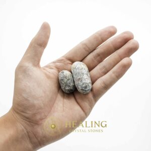 Red Jalak Snake Pearls - Type B2 (Female) - Magical Stones Magickal Stones Magickal Crystals Ritual Power Stones Ritual Crystals Crystals Talismans Stones Talisman Crystals Amulet stones mystical shaman shamanic spiritual spiritualism metaphysics occult psychic