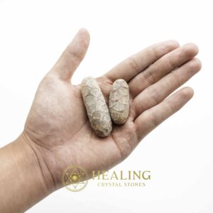 Red Jalak Snake Pearls - Type A1 (Male) - Magical Stones Magickal Stones Magickal Crystals Ritual Power Stones Ritual Crystals Crystals Talismans Stones Talisman Crystals Amulet stones mystical shaman shamanic spiritual spiritualism metaphysics occult psychic