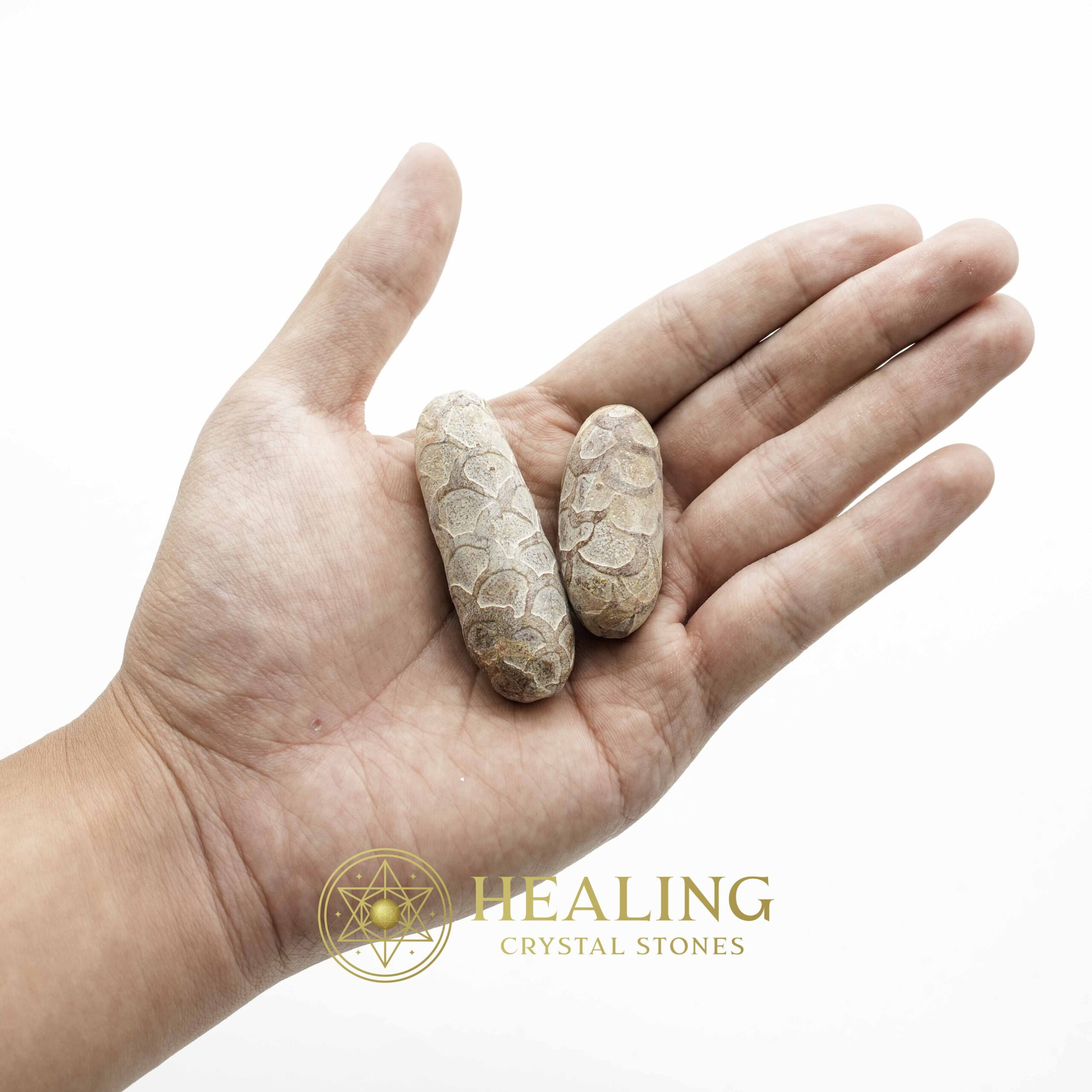 Red Jalak Snake Pearls - Type A1 (Male) - Magical Stones Magickal Stones Magickal Crystals Ritual Power Stones Ritual Crystals Crystals Talismans Stones Talisman Crystals Amulet stones mystical shaman shamanic spiritual spiritualism metaphysics occult psychic