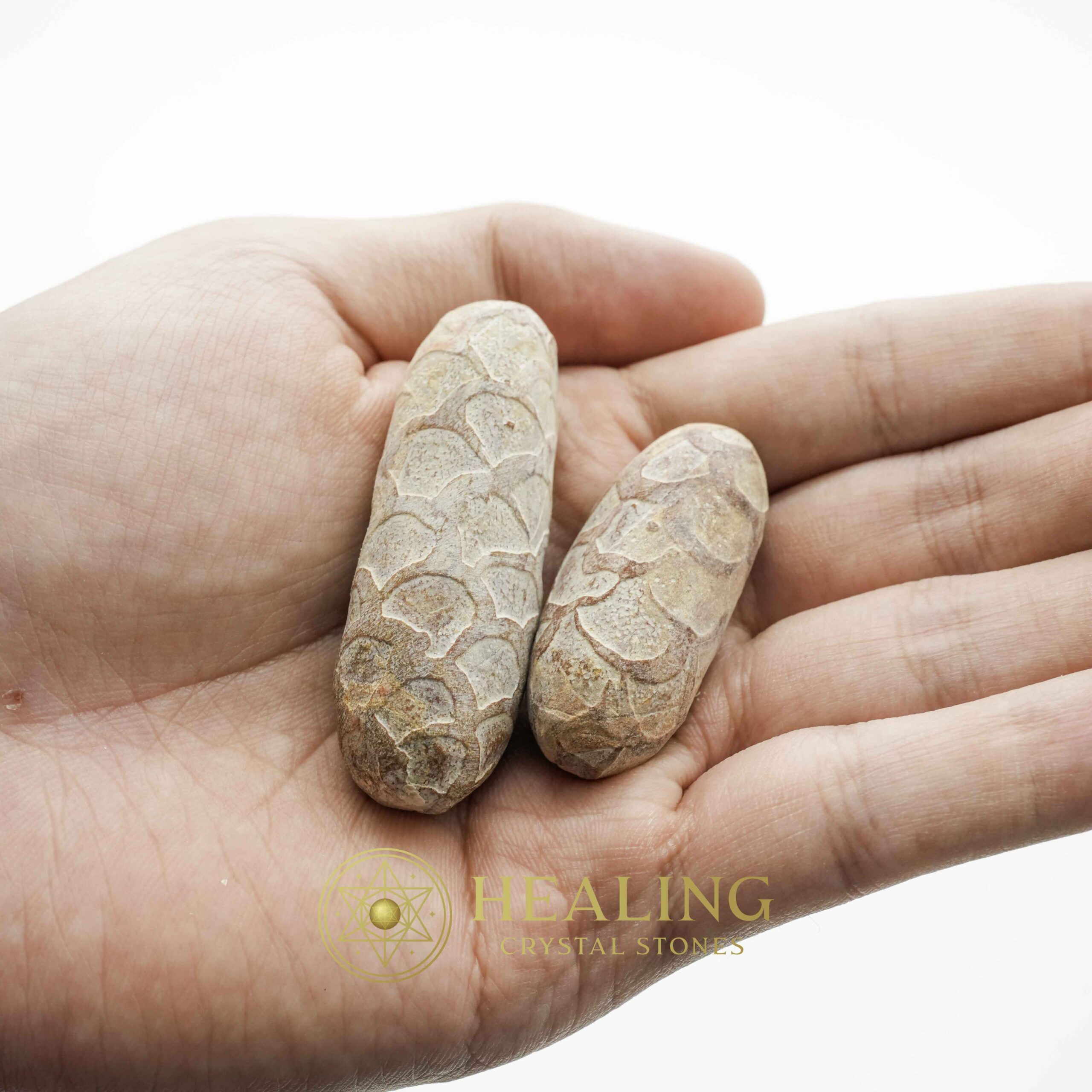 Red Jalak Snake Pearls - Type A1 (Male) - Magical Stones Magickal Stones Magickal Crystals Ritual Power Stones Ritual Crystals Crystals Talismans Stones Talisman Crystals Amulet stones mystical shaman shamanic spiritual spiritualism metaphysics occult psychic