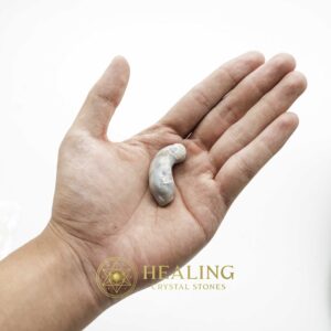 Baby Snake Fossil Small Size with Natural Greyish Color