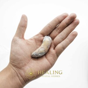 Baby Snake Fossil Crescent shaped with milky opaline color displayed in hand