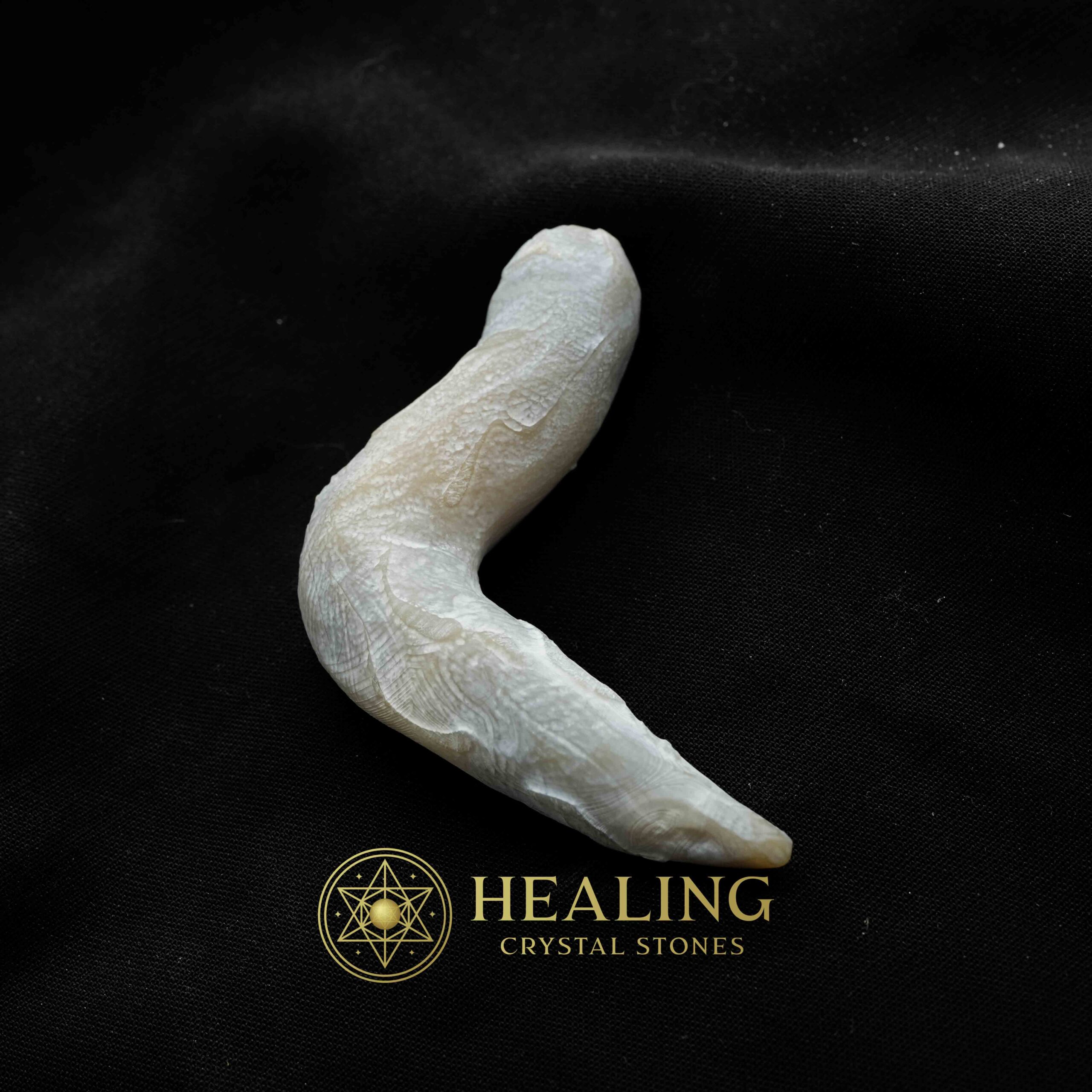 Baby Snake Fossil - Type A3 - Magical Stones Magickal Stones Magickal Crystals Ritual Power Stones Ritual Crystals Crystals Talismans Stones Talisman Crystals Amulet stones mystical shaman shamanic spiritual spiritualism metaphysics occult psychic