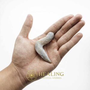 Baby snake fossil with boomerang shaped and scale textured surface displayed in hand.