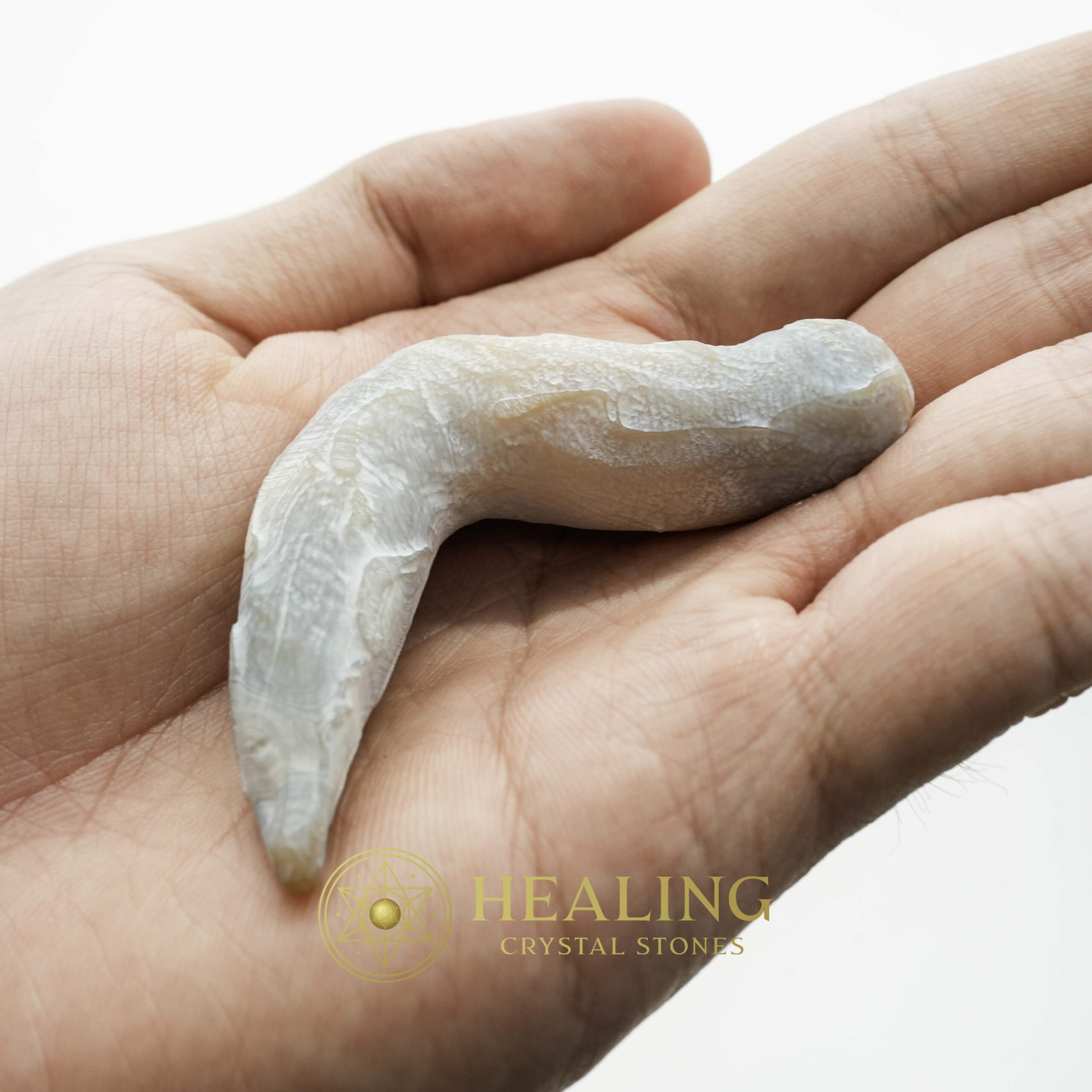 Baby Snake Fossil - Type A3 - Magical Stones Magickal Stones Magickal Crystals Ritual Power Stones Ritual Crystals Crystals Talismans Stones Talisman Crystals Amulet stones mystical shaman shamanic spiritual spiritualism metaphysics occult psychic