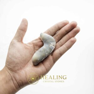 Baby Snake Fossil Small Size with Grey Natural Color displayed in hand