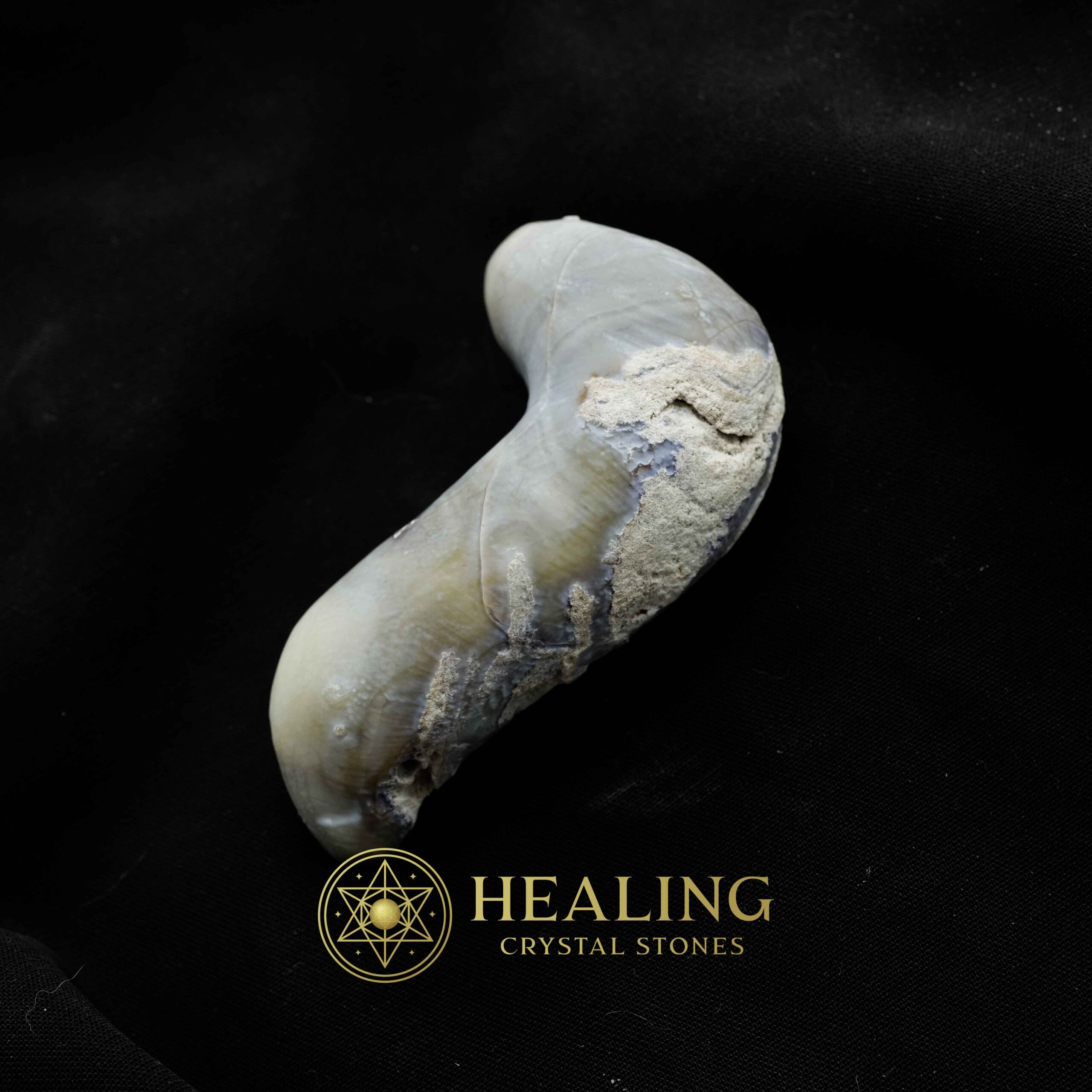 Baby Snake Fossil - Type A4 - Magical Stones Magickal Stones Magickal Crystals Ritual Power Stones Ritual Crystals Crystals Talismans Stones Talisman Crystals Amulet stones mystical shaman shamanic spiritual spiritualism metaphysics occult psychic