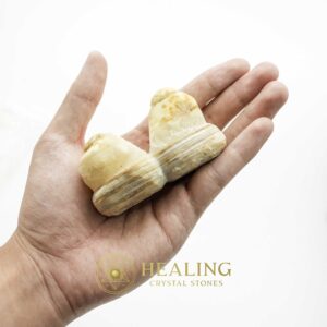 Sea Snake Heart Fossil twin domes shaped with orange sand color handheld view.