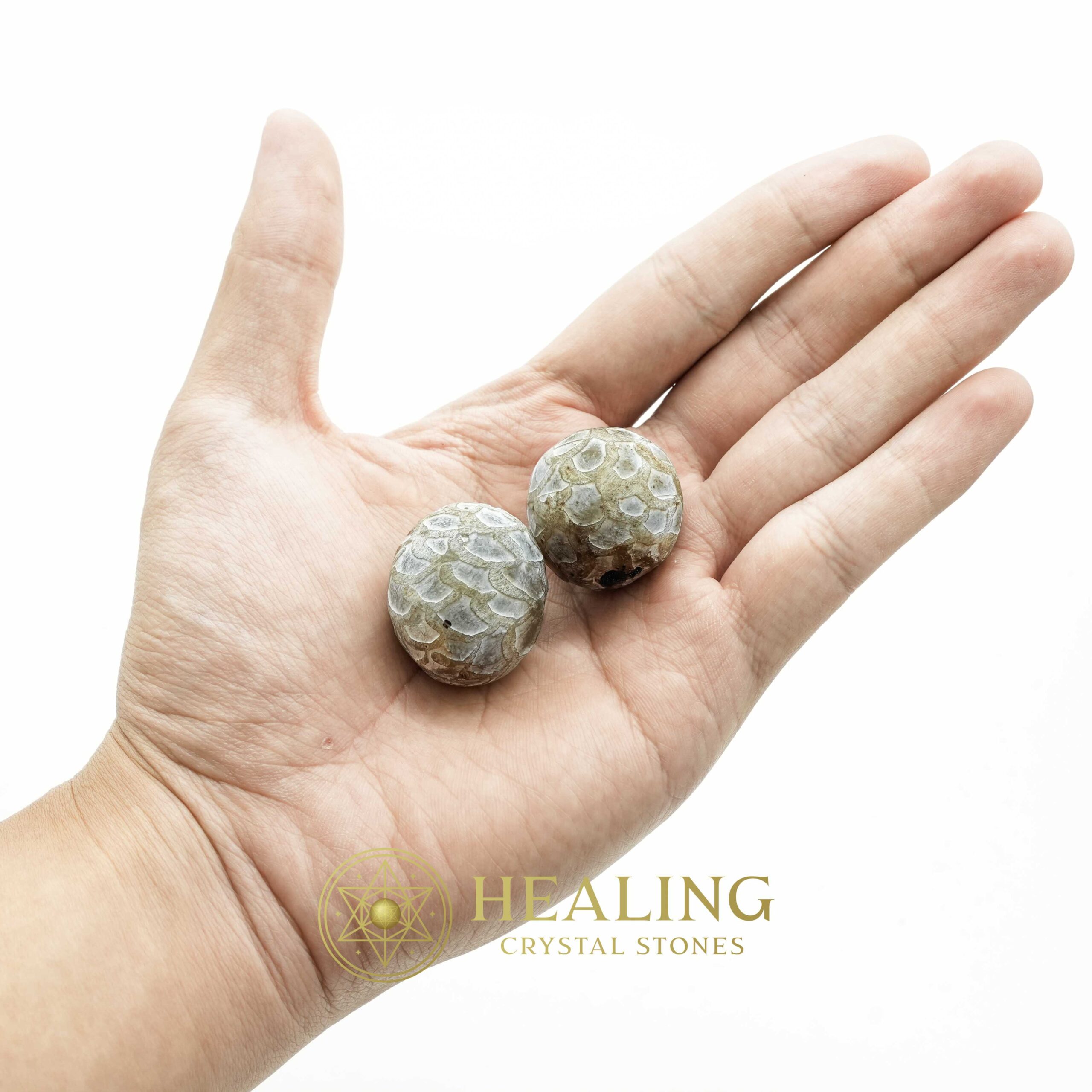 Sanca Madu Snake - Type E1 - Magical Stones Magickal Stones Magickal Crystals Ritual Power Stones Ritual Crystals Crystals Talismans Stones Talisman Crystals Amulet stones mystical shaman shamanic spiritual spiritualism metaphysics occult psychic