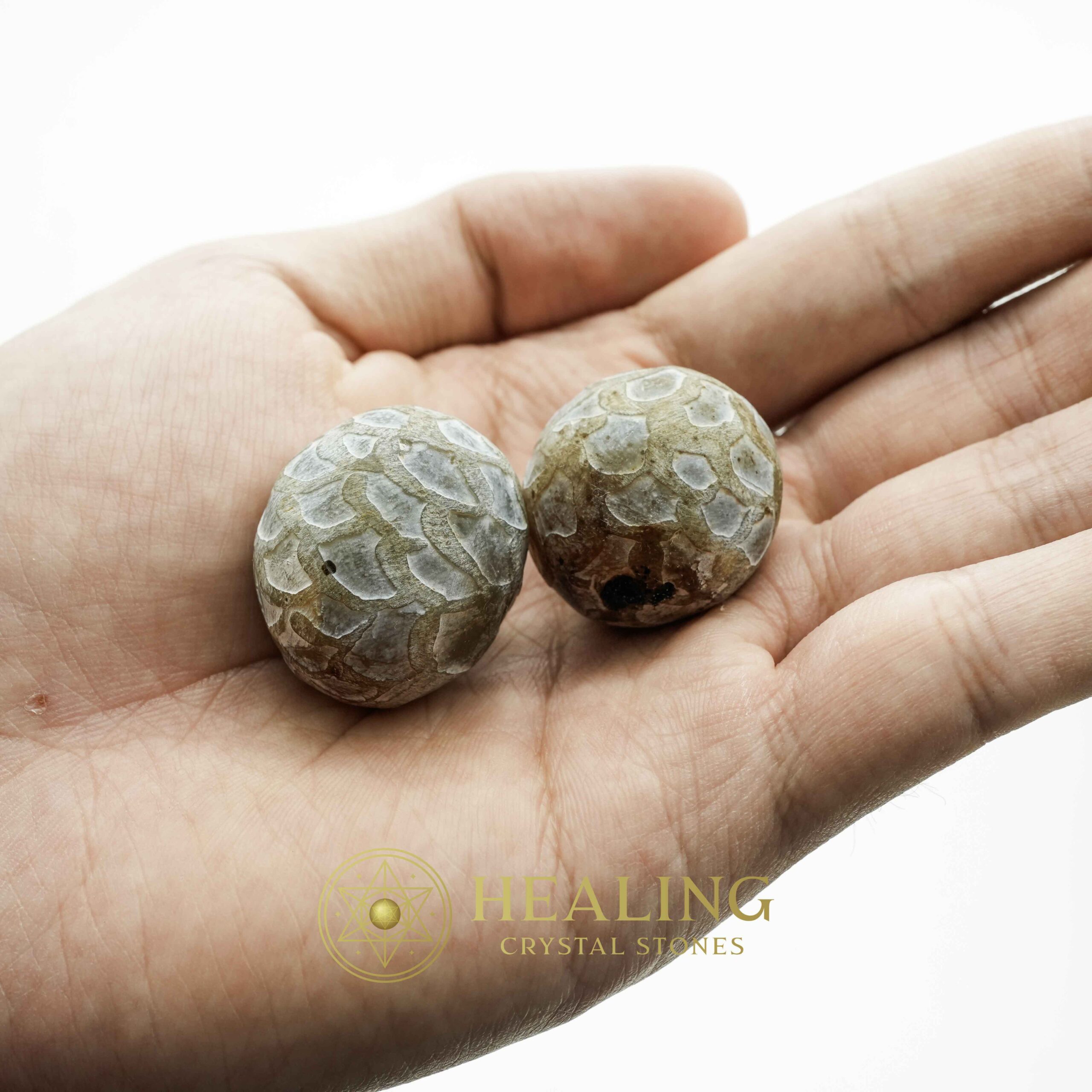 Sanca Madu Snake - Type E1 - Magical Stones Magickal Stones Magickal Crystals Ritual Power Stones Ritual Crystals Crystals Talismans Stones Talisman Crystals Amulet stones mystical shaman shamanic spiritual spiritualism metaphysics occult psychic