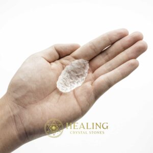 Sea Snake Pearl - Type E2 - Spiritual Crystals Bezoar Stones Bezoar Crystals Healing Bezoar Stones Animal Totem Stones, Power Animal Stones Magical Stones Magickal Stones Magickal Crystals Ritual Power Stones Ritual Crystals mystical shaman shamanic spiritual spiritualism metaphysics occult psychic