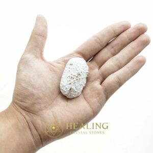 Turtle Pearls - Type G1 (Golden) - Spiritual Crystals Bezoar Stones Bezoar Crystals Healing Bezoar Stones Animal Totem Stones, Power Animal Stones Magical Stones Magickal Stones Magickal Crystals Ritual Power Stones Ritual Crystals mystical shaman shamanic spiritual spiritualism metaphysics occult psychic