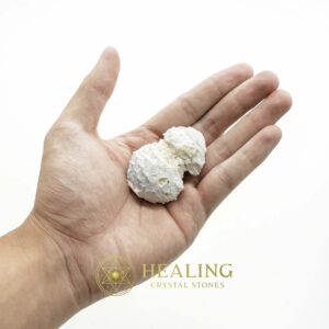 Turtle Pearls - Type G2 (Golden) - Spiritual Crystals Bezoar Stones Bezoar Crystals Healing Bezoar Stones Animal Totem Stones, Power Animal Stones Magical Stones Magickal Stones Magickal Crystals Ritual Power Stones Ritual Crystals mystical shaman shamanic spiritual spiritualism metaphysics occult psychic