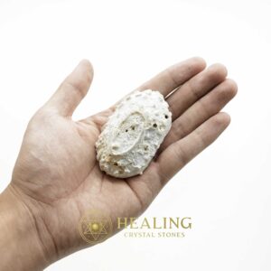 Turtle Pearls - Type G4 (Golden) - Spiritual Crystals Bezoar Stones Bezoar Crystals Healing Bezoar Stones Animal Totem Stones, Power Animal Stones Magical Stones Magickal Stones Magickal Crystals Ritual Power Stones Ritual Crystals mystical shaman shamanic spiritual spiritualism metaphysics occult psychic