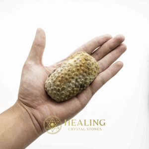 Turtle Pearls - Type G5 (Golden) - Spiritual Crystals Bezoar Stones Bezoar Crystals Healing Bezoar Stones Animal Totem Stones, Power Animal Stones Magical Stones Magickal Stones Magickal Crystals Ritual Power Stones Ritual Crystals mystical shaman shamanic spiritual spiritualism metaphysics occult psychic