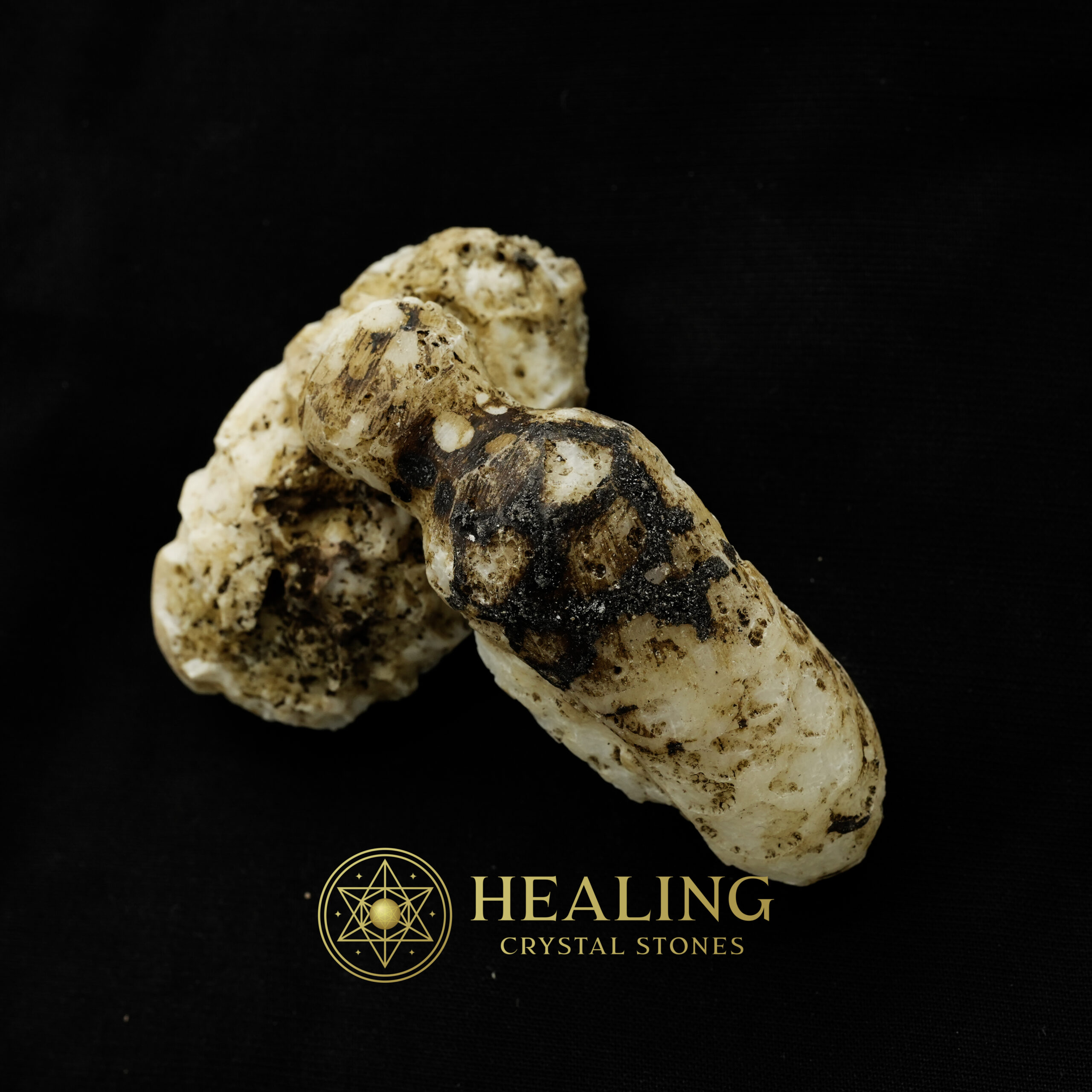 White King Cobra Pearl - Type A1 - Healing Crystals, Crystal Stones Mustika Pearls Mustika Stones Talismanic Stones Amulet Stones Healing Stones Spiritual Crystals Crystals Talismans Stones Talisman Crystals Amulet stones mystical shaman shamanic spiritual spiritualism metaphysics occult psychic