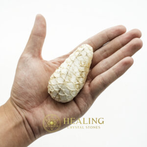 White King Cobra Pearl - Type A4 - Healing Crystals, Crystal Stones Mustika Pearls Mustika Stones Talismanic Stones Amulet Stones Healing Stones Spiritual Crystals Crystals Talismans Stones Talisman Crystals Amulet stones mystical shaman shamanic spiritual spiritualism metaphysics occult psychic