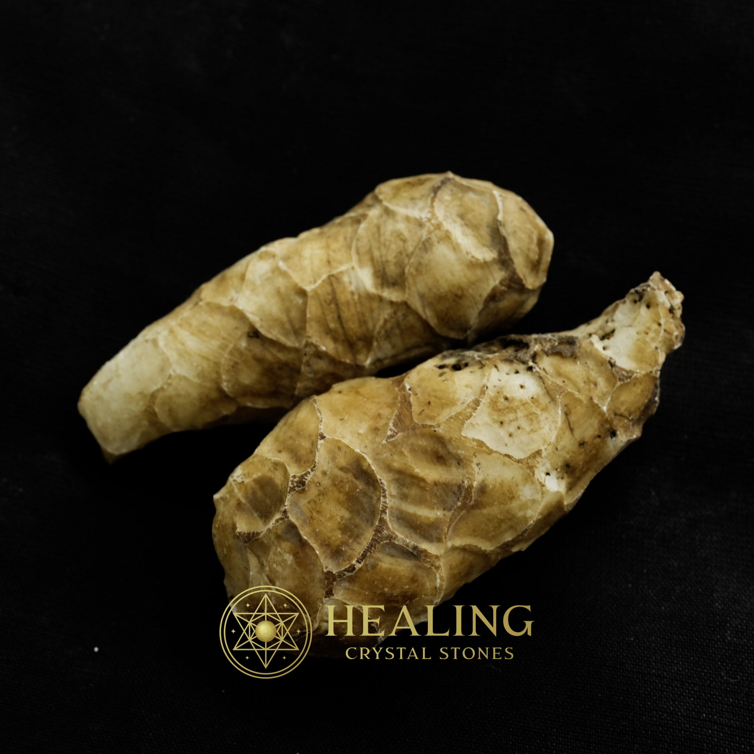 White Cobra Pearl - Type B2 (Male) - Healing Crystals, Crystal Stones Mustika Pearls Mustika Stones Talismanic Stones Amulet Stones Healing Stones Spiritual Crystals Crystals Talismans Stones Talisman Crystals Amulet stones mystical shaman shamanic spiritual spiritualism metaphysics occult psychic
